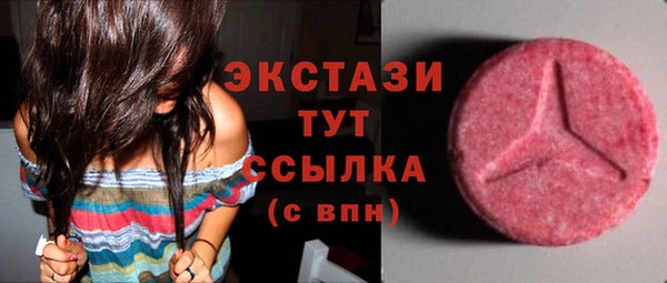 стаф Богородицк