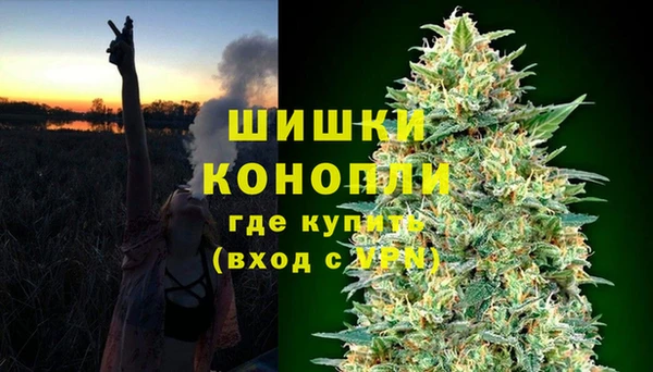 винт Белокуриха