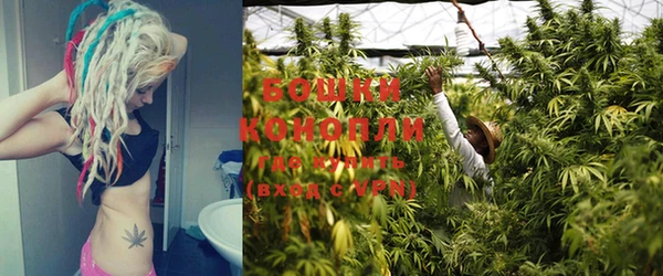COCAINE Богданович