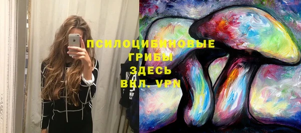 стаф Богородицк