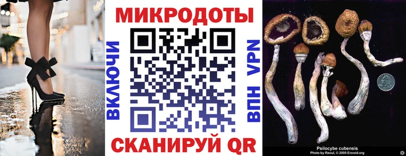 Галлюциногенные грибы мицелий  MEGA маркетплейс  Междуреченск 
